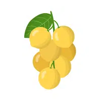 Langsat | Tropical Fruits Names in English