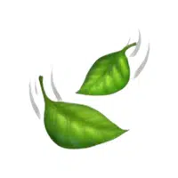 Leaf | WhatsApp Emojis Names in English