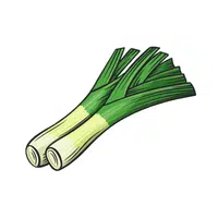 Leek | Winter Vegetables Names in English