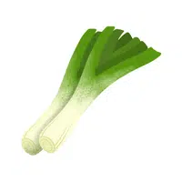 Leek | Summer Vegetables Names in English
