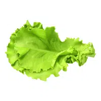 Lettuce | Winter Vegetables Names in English