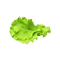 Lettuce | Healthy Foods Names in English