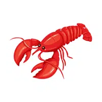 Lobster