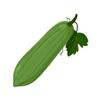 Luffa gourd