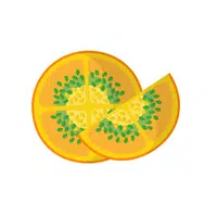 Lulo | Tropical Fruits Names in English
