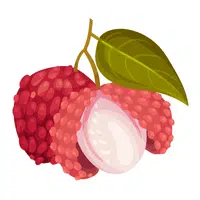 Lychee | Healthy Foods Names in English
