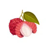 Lychee | Tropical Fruits Names in English
