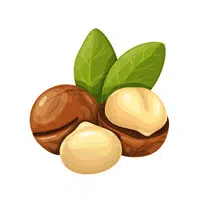 Macadamia | Healthy Foods Names in English