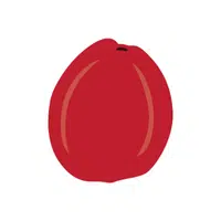 Malay Apple