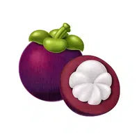 Mangosteen | Tropical Fruits Names in English