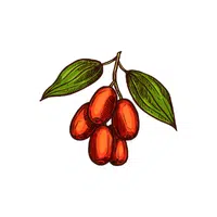 Mauritiana 