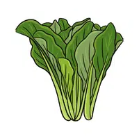 Mustard greens