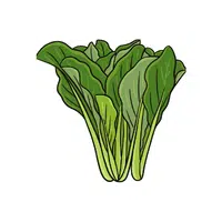 Mustard greens | Summer Vegetables Names in English