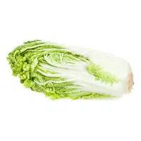 Napa cabbage