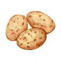 New potato | Summer Vegetables Names in English