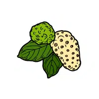 Noni 