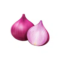 Onion | Foods Names in English