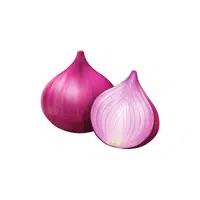 Onion | Winter Vegetables Names in English