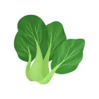 Pak choi | Winter Vegetables Names in English