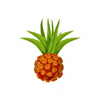 Pandanus | Tropical Fruits Names in English