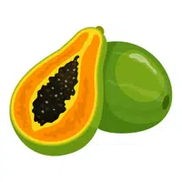 Papaya