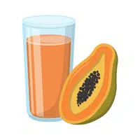 Papaya Juice | Cool Drinks Names in English