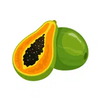 Papaya | Tropical Fruits Names in English