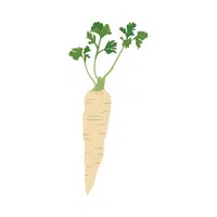 Parsley root | Winter Vegetables Names in English