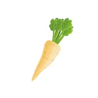 Parsnip | Winter Vegetables Names in English