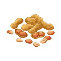 Peanuts | Healthy Foods Names in English