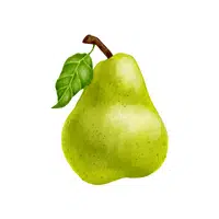 Pear | Foods Names in English