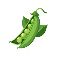Peas | Healthy Foods Names in English