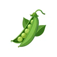 Peas | Foods Names in English