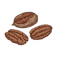 Pecans | Healthy Foods Names in English