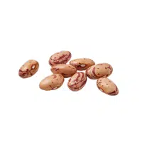 Pinto Beans