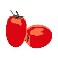 Plum tomato