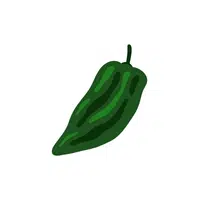 Poblano pepper