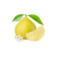 Pomelo | Tropical Fruits Names in English
