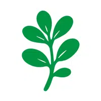 Purslane | Summer Vegetables Names in English