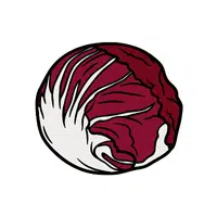 Radicchio | Summer Vegetables Names in English