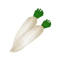 Radish | Winter Vegetables Names in English