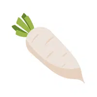 Radish | Foods Names in English