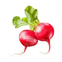 Radish | Healthy Foods Names in English