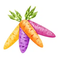 Rainbow carrot
