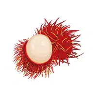 Rambutan | Tropical Fruits Names in English