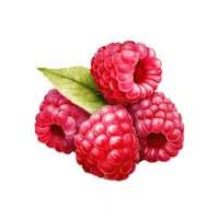 Raspberry | Healthy Foods Names in English