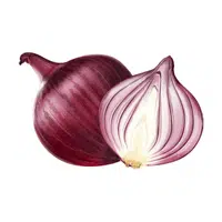 Red onion