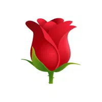 Rose | iPhone Emojis Names in English
