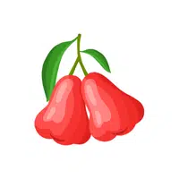Rose Apple