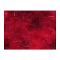 Ruby | Colors Names for Kids in English